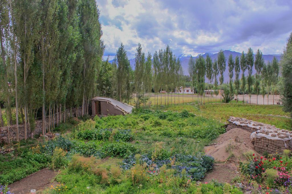 Tsetan Guest House Leh Exterior foto